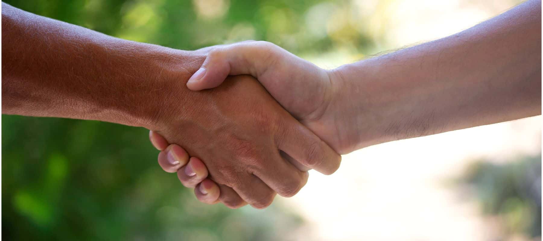 close up of a handshake